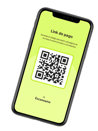 Business Wallet Pays