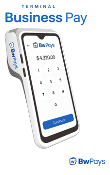 Business Wallet Pays